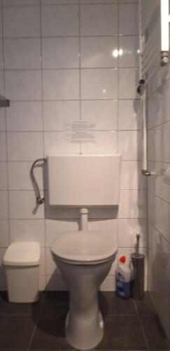 toilet